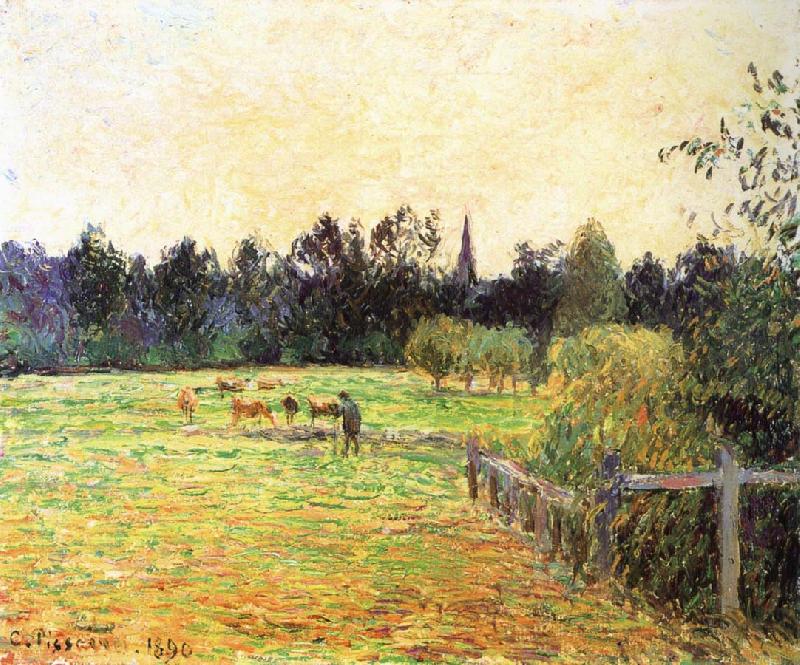 Camille Pissarro Cattle oil painting image